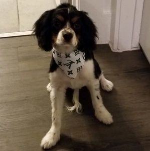 Meet your Posher, Klassie